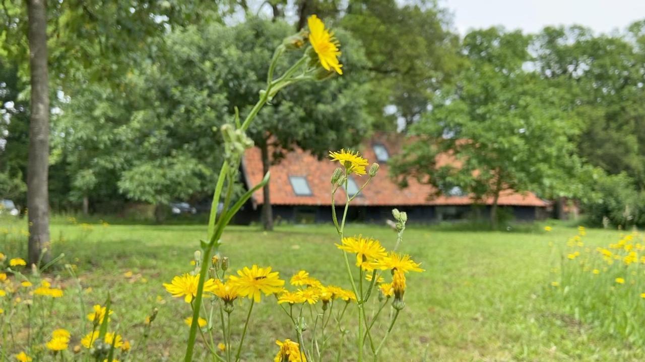 Bed and Breakfast Op 'T Oorbeck Enschede Exterior foto